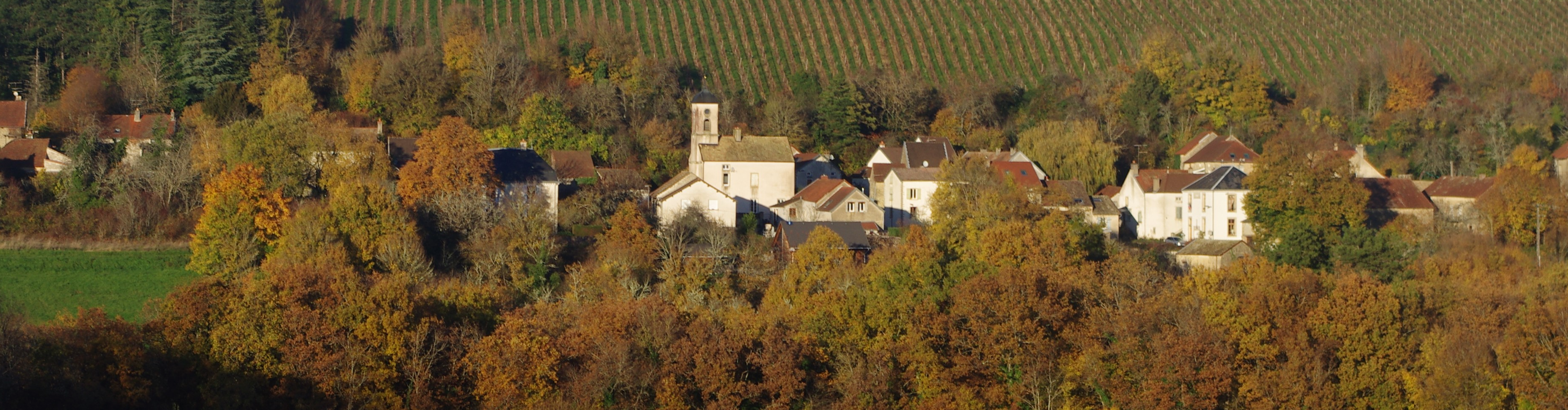 Bannière COMMUNE DE BÉVY